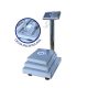 BASCULA-PLATAFORMA-ABATIBLE-FULL-INOX-500-KG.jpg